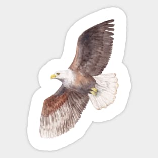 Soaring Watercolor Eagle Sticker